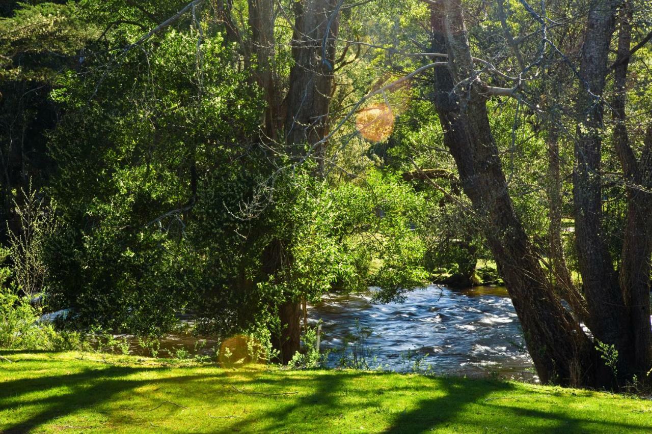 Russell Falls Holiday Cottages National Park Eksteriør billede