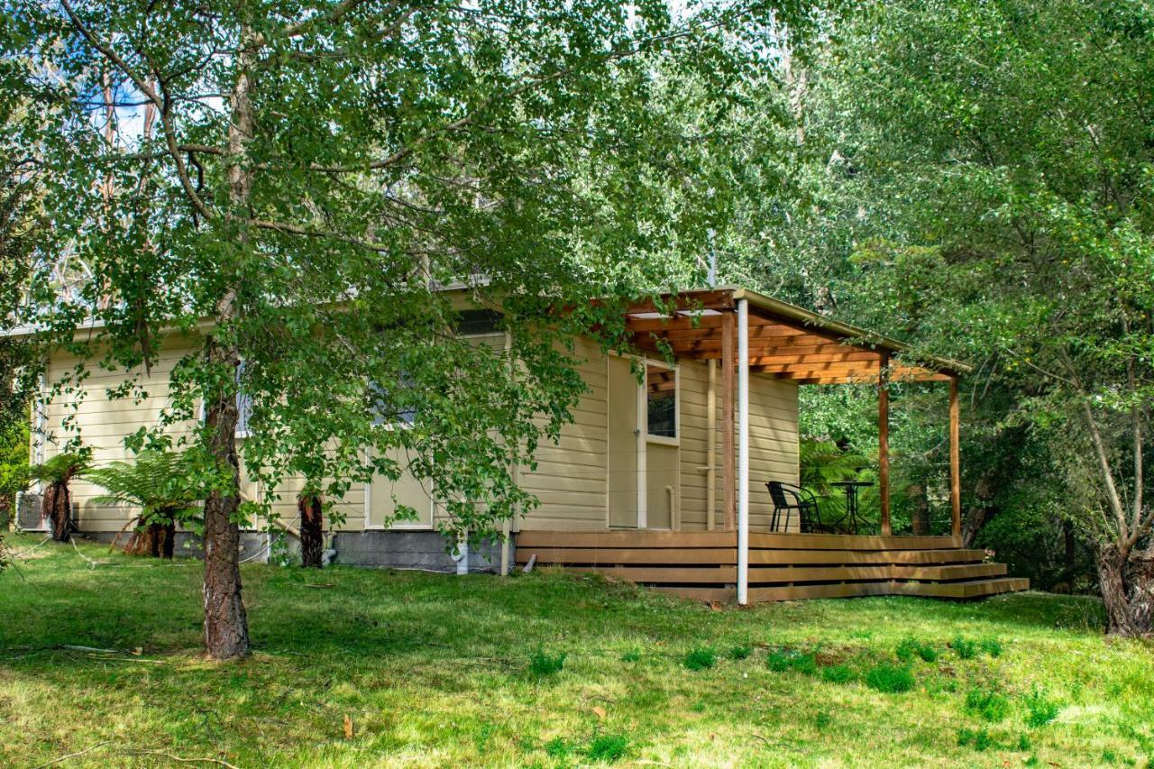 Russell Falls Holiday Cottages National Park Eksteriør billede