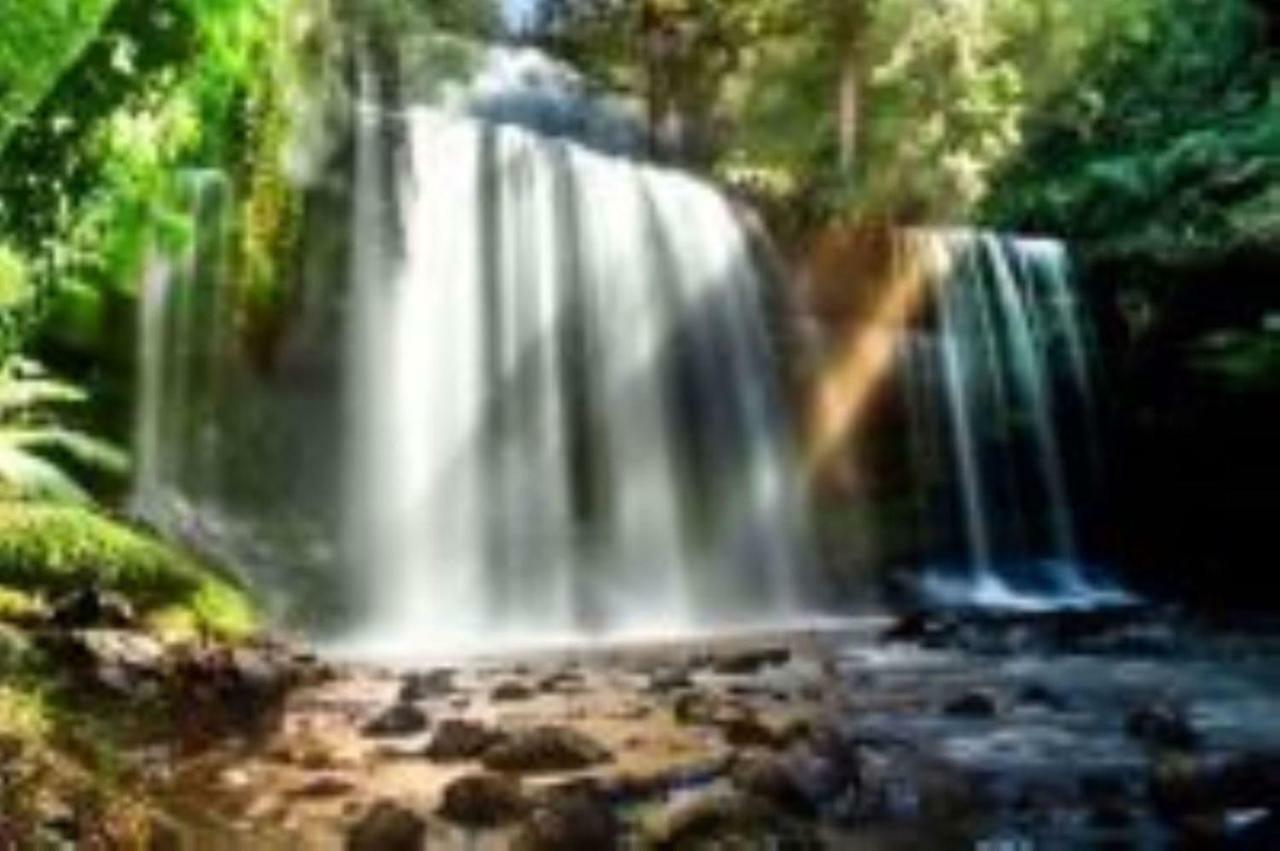 Russell Falls Holiday Cottages National Park Eksteriør billede