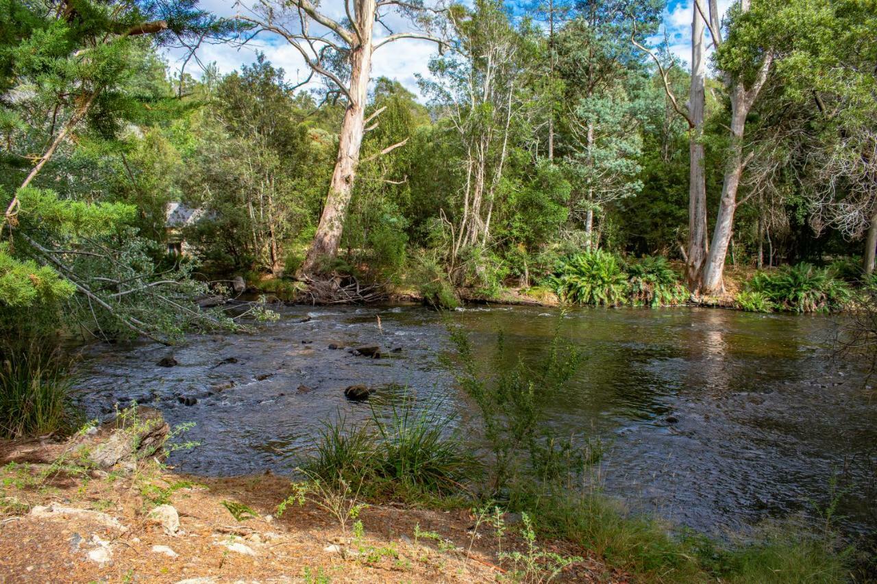 Russell Falls Holiday Cottages National Park Eksteriør billede