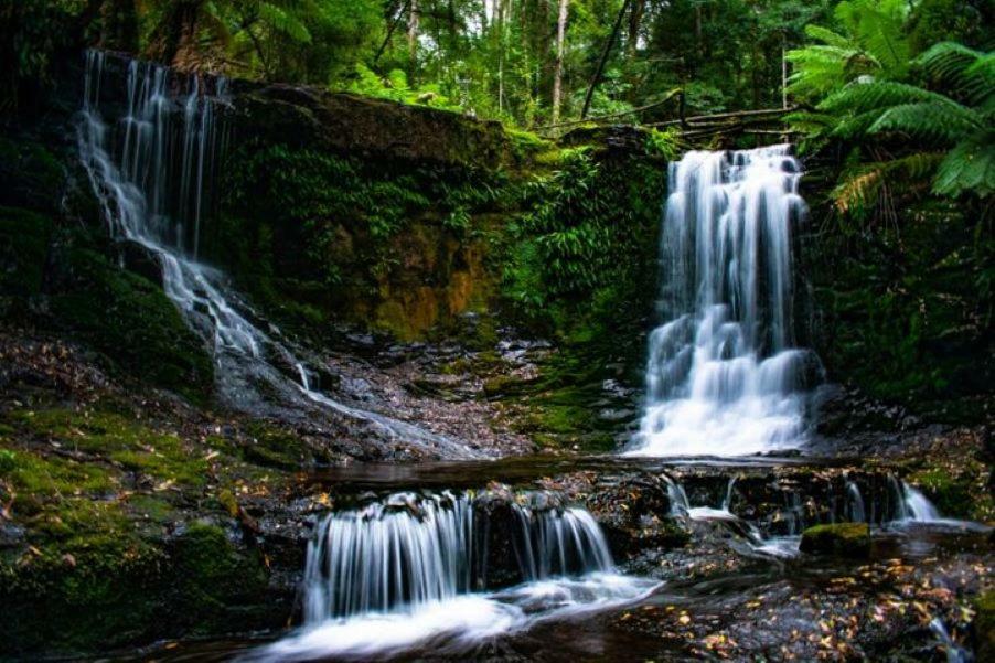 Russell Falls Holiday Cottages National Park Eksteriør billede
